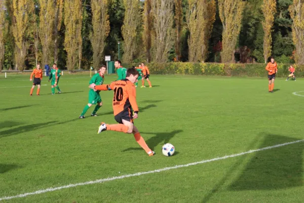 29.10.2016 SV Grün-Weiß Wörlitz vs. ASG Vorwärts Dessau