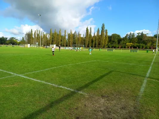 08.10.2023 JSG Heidekicker vs. SV Rot-Weiß Kemberg