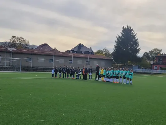 31.10.2023 VFB Zahna vs. JSG Heidekicker