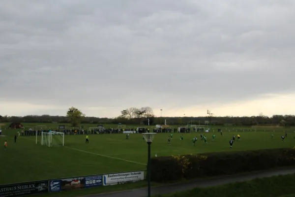 15.04.2017 SV Grün-Weiß Wörlitz vs. SV Mildensee