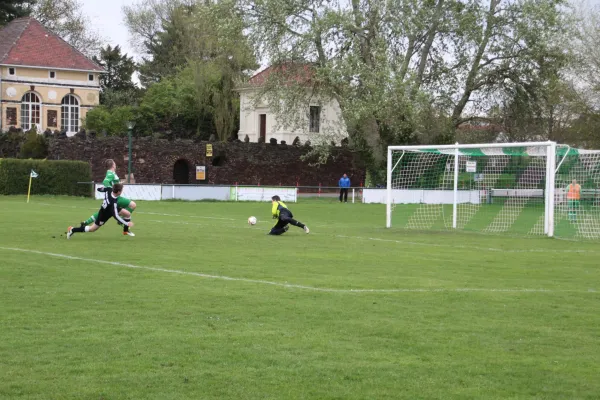 15.04.2017 SV Grün-Weiß Wörlitz vs. SV Mildensee