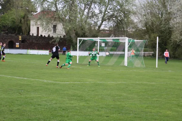 15.04.2017 SV Grün-Weiß Wörlitz vs. SV Mildensee