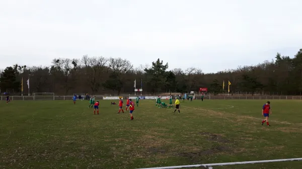 04.03.2017 SV Blau-Rot Coswig vs. SV Grün-Weiß Wörlitz