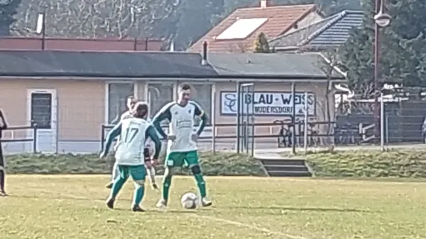 15.03.2025 SG Nudersdorf vs. SV Grün-Weiß Wörlitz