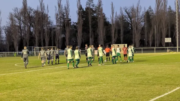 28.03.2025 SV Grün-Weiß Wörlitz vs. Allemannia Jessen II