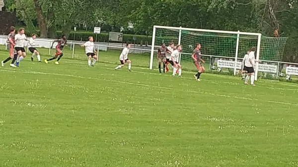 04.05.2025 SV Grün-Weiß Wörlitz vs. Hellas 09 Oranienbau