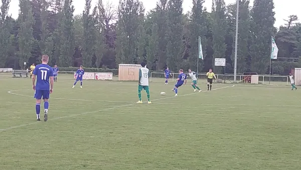16.05.2025 SV Grün-Weiß Wörlitz vs. Eintracht Elster II