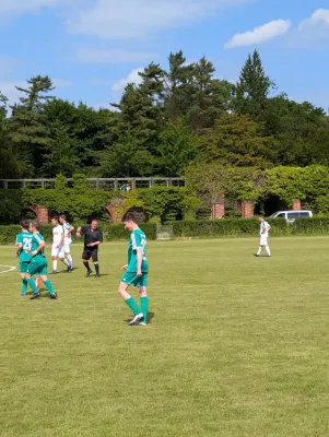 24.05.2025 SV Grün-Weiß Wörlitz vs. SV Grün-Weiß Linda