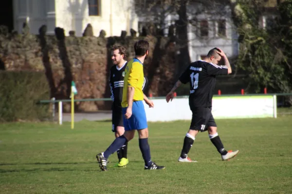 11.03.2017 SV Grün-Weiß Wörlitz vs. FSGW