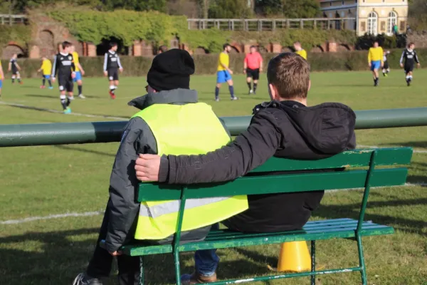 11.03.2017 SV Grün-Weiß Wörlitz vs. FSGW