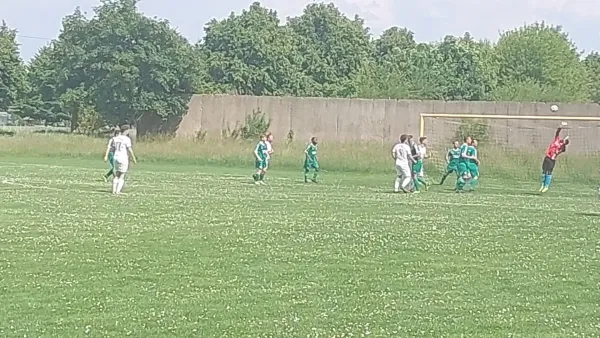 31.05.2025 SV 1813 Dennewitz vs. SV Grün-Weiß Wörlitz
