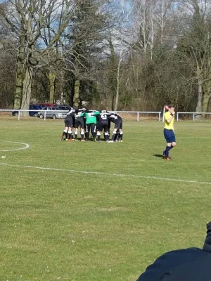 18.03.2017 ESV Lok Dessau vs. SV Grün-Weiß Wörlitz