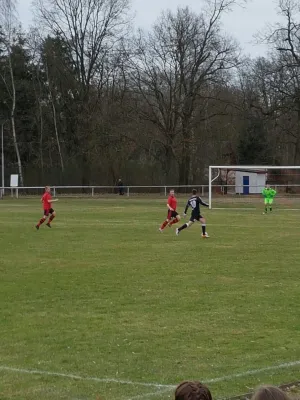 18.03.2017 ESV Lok Dessau vs. SV Grün-Weiß Wörlitz