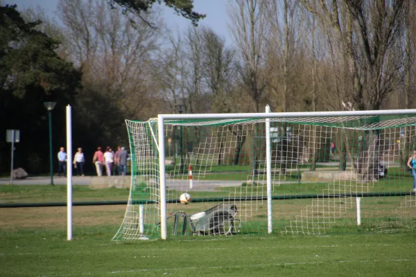 01.04.2017 SV Grün-Weiß Wörlitz vs. Germania Roßlau