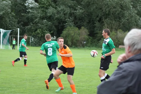 05.09.2015 SV Grün-Weiß Wörlitz vs. Dessauer SV 97 II