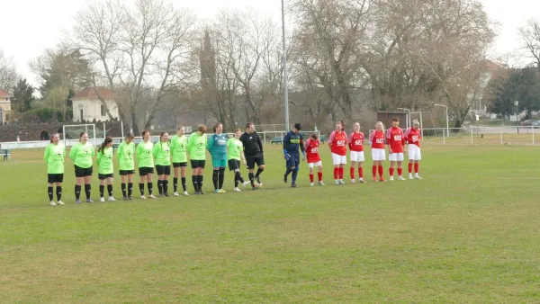 23.03.2025 SV Grün-Weiß Wörlitz vs. Stahl Aken