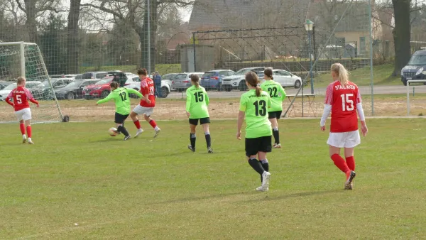 23.03.2025 SV Grün-Weiß Wörlitz vs. Stahl Aken