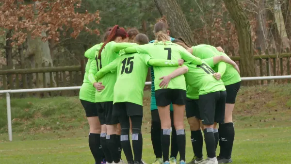 30.03.2025 Bad Schmiedeberg vs. SV Grün-Weiß Wörlitz
