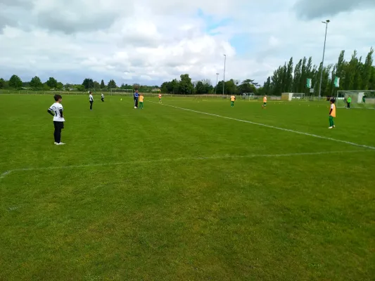 04.05.2025 JSG Heidekicker II vs. SG Coswig/Klieken