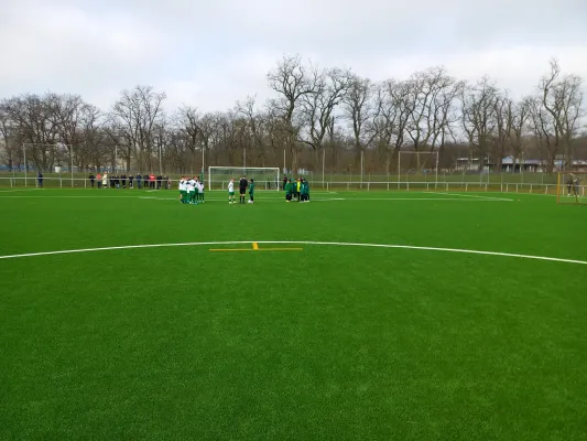 15.03.2025 Grün-Weiß Piesteritz vs. JSG Heidekicker II