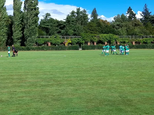 23.08.2025 SV Grün-Weiß Wörlitz vs. Blau-Rot Pratau