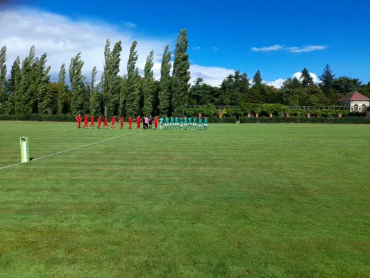 23.08.2025 SV Grün-Weiß Wörlitz vs. Blau-Rot Pratau