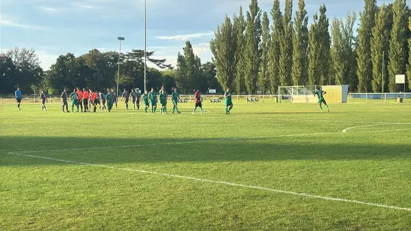 29.08.2025 SV Grün-Weiß Wörlitz vs. Allemannia Jessen II