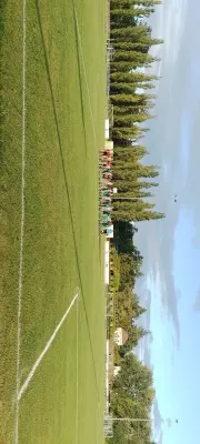 29.08.2025 SV Grün-Weiß Wörlitz vs. Allemannia Jessen II
