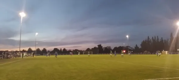 19.09.2025 SV Grün-Weiß Wörlitz vs. VfB Gräfenhainichen II