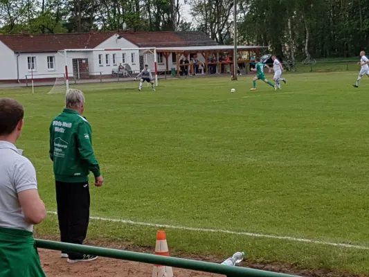 13.05.2017 FSG Steutz/ Leps vs. SV Grün-Weiß Wörlitz