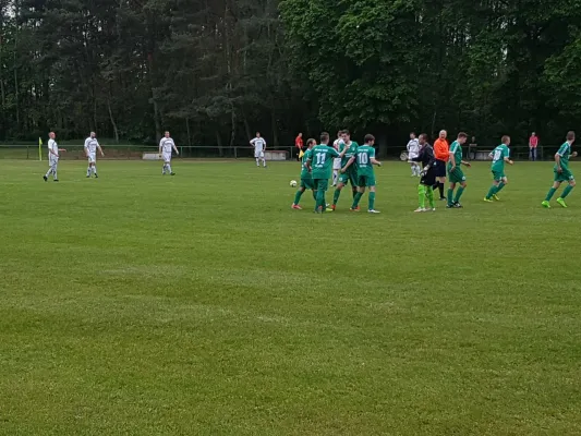 13.05.2017 FSG Steutz/ Leps vs. SV Grün-Weiß Wörlitz