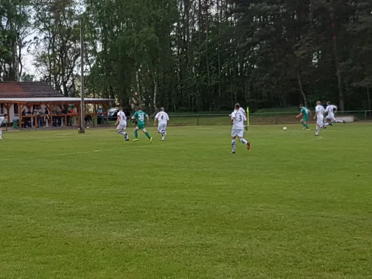 13.05.2017 FSG Steutz/ Leps vs. SV Grün-Weiß Wörlitz