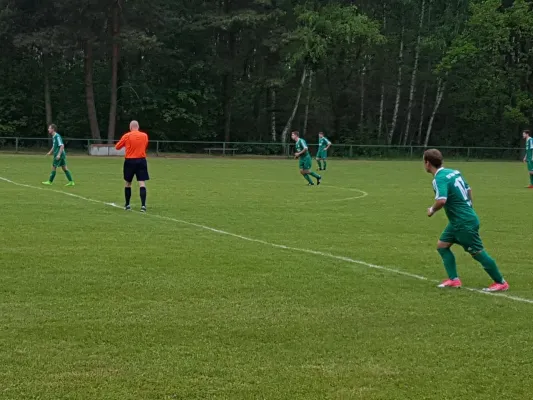 13.05.2017 FSG Steutz/ Leps vs. SV Grün-Weiß Wörlitz