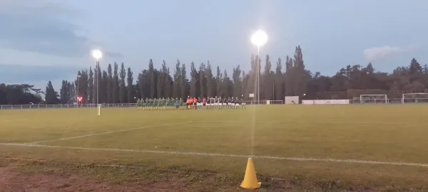 02.10.2025 SV Grün-Weiß Wörlitz vs. SG Lebien/Annaburg