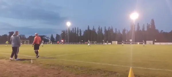 02.10.2025 SV Grün-Weiß Wörlitz vs. SG Lebien/Annaburg
