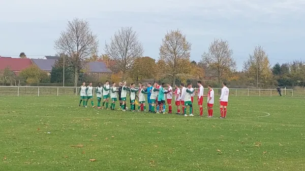 02.11.2025 SV 1813 Dennewitz vs. SV Grün-Weiß Wörlitz