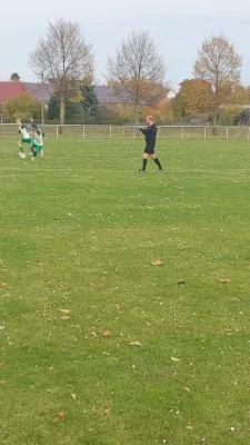 02.11.2025 SV 1813 Dennewitz vs. SV Grün-Weiß Wörlitz