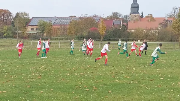 02.11.2025 SV 1813 Dennewitz vs. SV Grün-Weiß Wörlitz