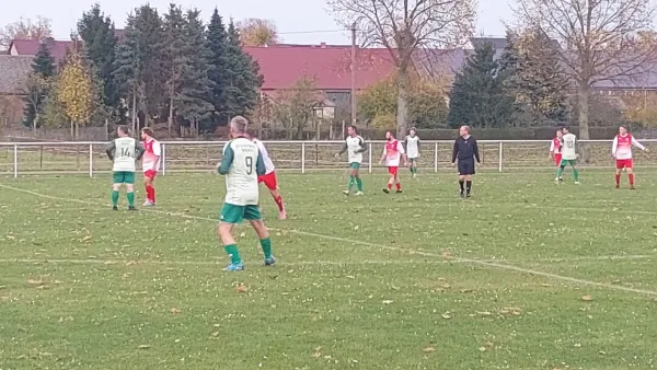 02.11.2025 SV 1813 Dennewitz vs. SV Grün-Weiß Wörlitz