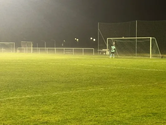 07.11.2025 SV Grün-Weiß Wörlitz vs. Malterhausener SV