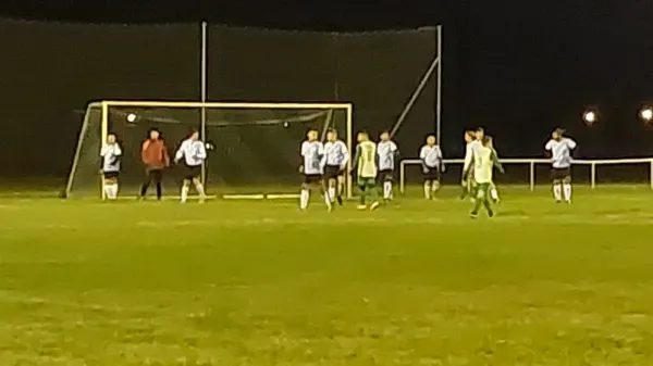 28.11.2025 SV Grün-Weiß Wörlitz vs. SG Nudersdorf