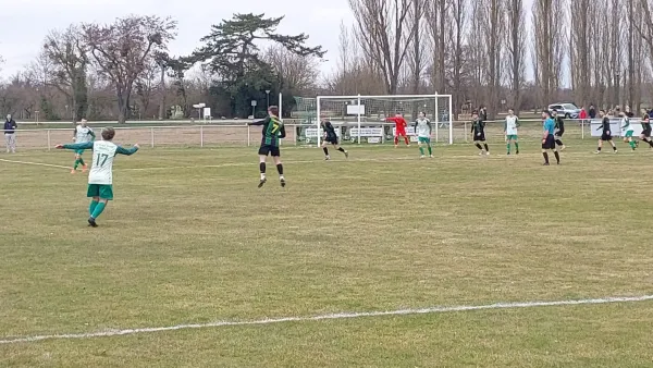 15.03.2026 SV Grün-Weiß Wörlitz vs. Hellas 09 Oranienbau