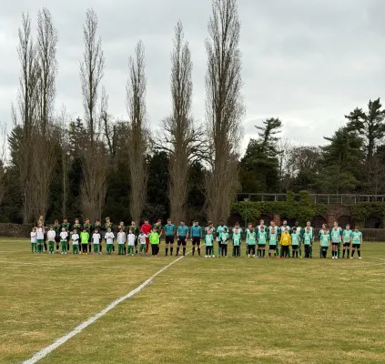15.03.2026 SV Grün-Weiß Wörlitz vs. Hellas 09 Oranienbau
