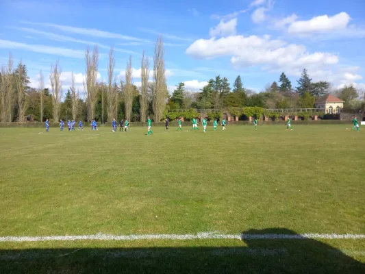 04.04.2026 SV Grün-Weiß Wörlitz vs. Eintracht Elster II