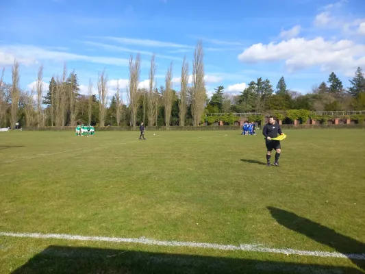 04.04.2026 SV Grün-Weiß Wörlitz vs. Eintracht Elster II