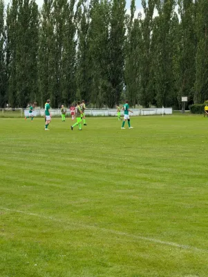 31.05.2026 SV Grün-Weiß Wörlitz vs. SV Grün-Weiß Linda