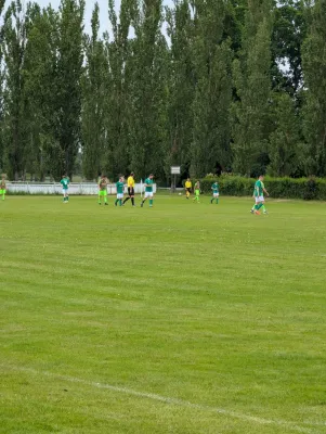 31.05.2026 SV Grün-Weiß Wörlitz vs. SV Grün-Weiß Linda