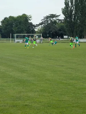 31.05.2026 SV Grün-Weiß Wörlitz vs. SV Grün-Weiß Linda