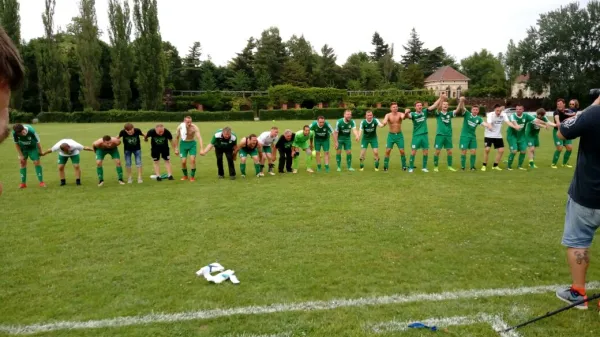 03.06.2017 SV Grün-Weiß Wörlitz vs. Grün Weiß Dessau