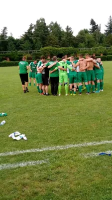 03.06.2017 SV Grün-Weiß Wörlitz vs. Grün Weiß Dessau